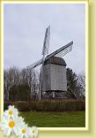 Cassel_Reco (5)